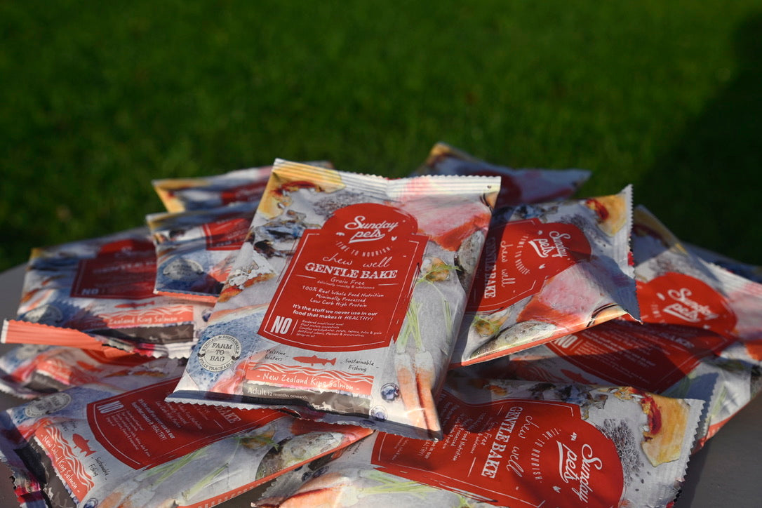 Graanvrij hondensnack met verse zalm Adult - Sunday Pets Gentle Bake
